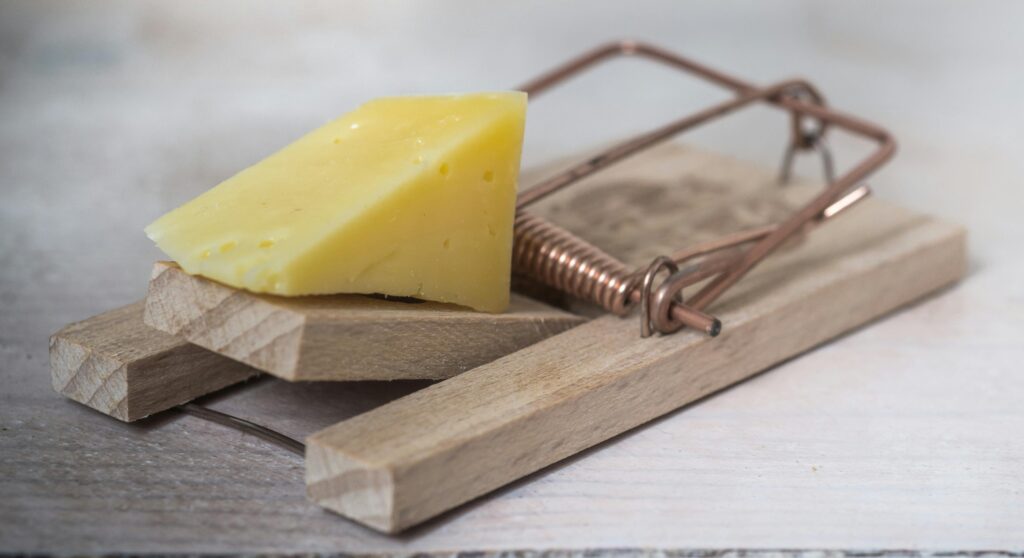 Mausefalle mit einem Stück Käse